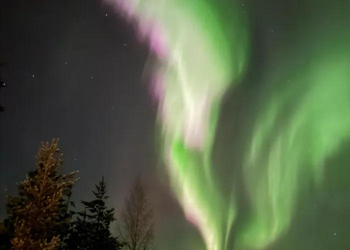 Nietos Aurora Апартаменты